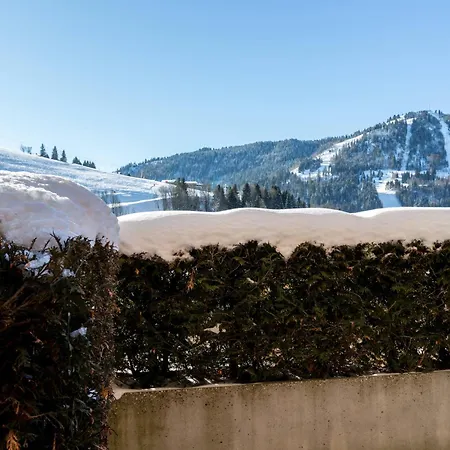 아파트 Cosy 3★ A La Clusaz, Proche Bossonnet, Commerces Et Navettes, Avec Garage Et Terrasse Exposee Sud - Fr-1-304-29 *